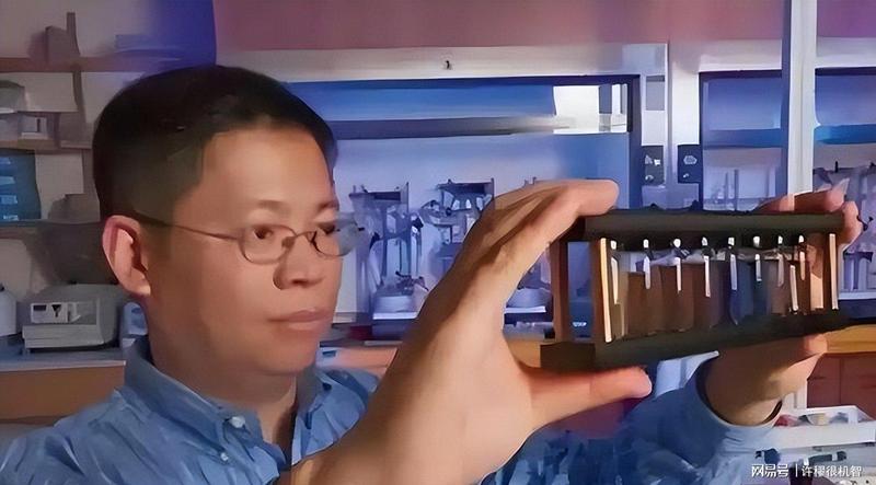 深陷全球通缉风波:一场芯片产业的漫长正名之路 新闻