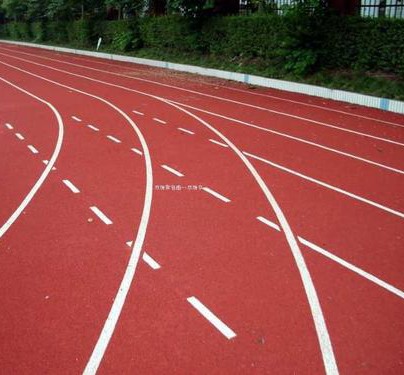  竞技场背后的真相：揭开女子体育公平性的最后屏障 体育新闻