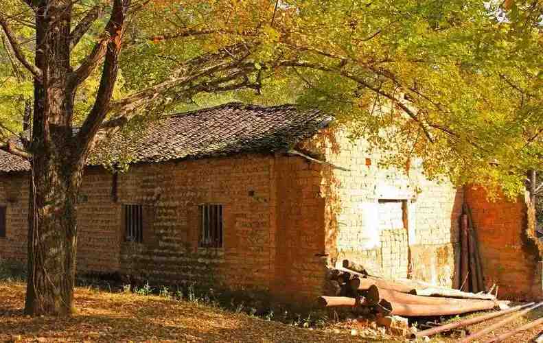  记忆宫殿的坍塌与重建：老屋如何在意识深处完成永恒驻留 文化旅游