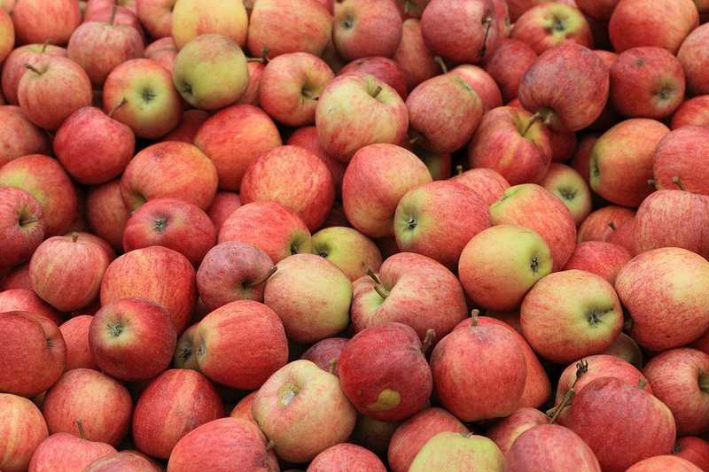  【冷知识】反季水果的保鲜黑幕：4月后这六种水果的营养已归零 健康养生