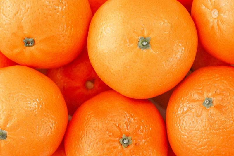  【冷知识】反季水果的保鲜黑幕：4月后这六种水果的营养已归零 健康养生