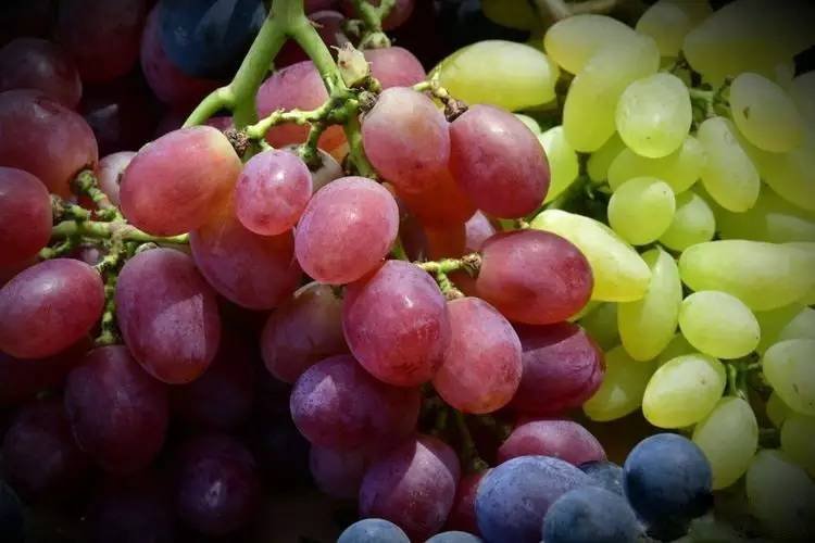  【冷知识】反季水果的保鲜黑幕：4月后这六种水果的营养已归零 健康养生