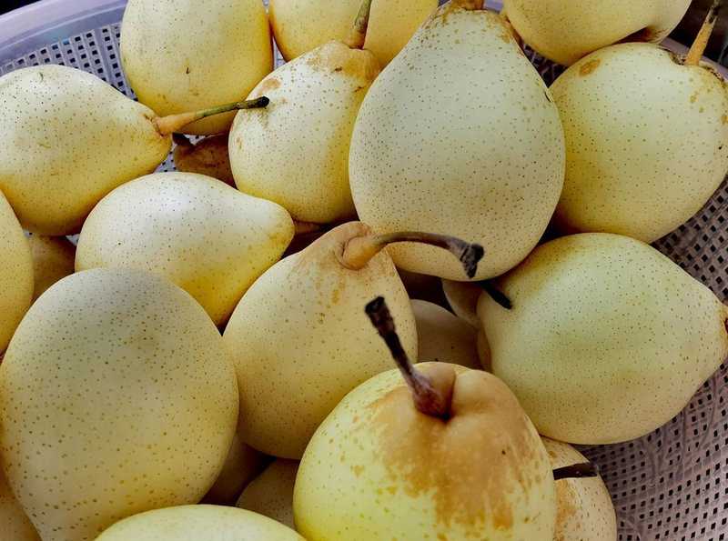  【冷知识】反季水果的保鲜黑幕：4月后这六种水果的营养已归零 健康养生