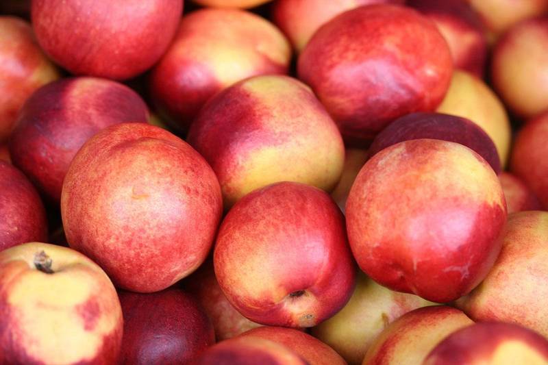  【冷知识】反季水果的保鲜黑幕：4月后这六种水果的营养已归零 健康养生