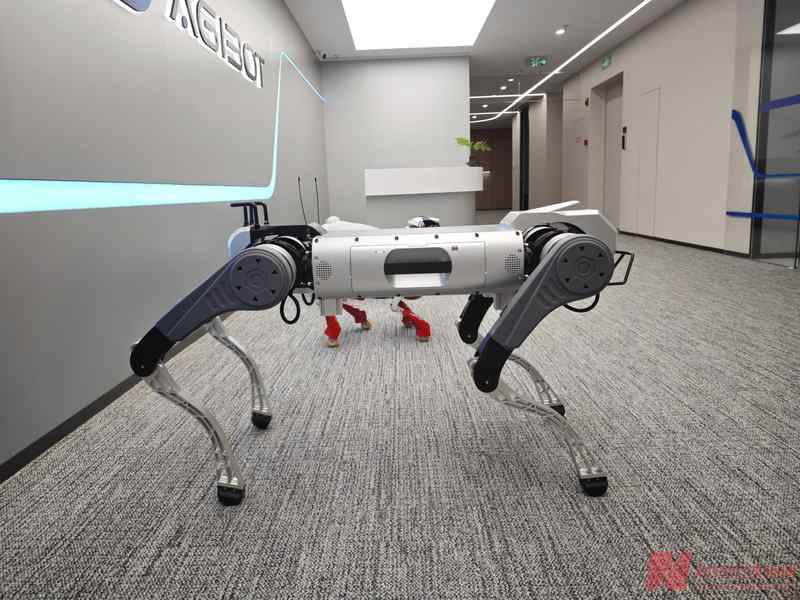  从“机器狗”到“四足机器人”：一场关于智能边界的深度拆解 IT技术