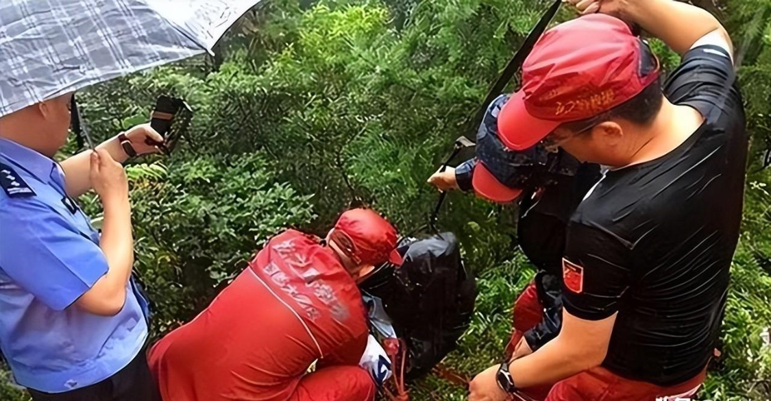  【深度复盘】从温州滴滴血案，看网约车安全风控体系的致命漏洞与进化路径 新闻