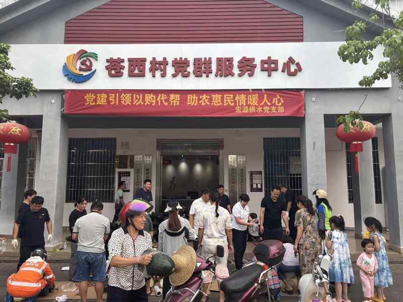 以购代帮：从党建引领到公益助农的精准扶贫实践模型