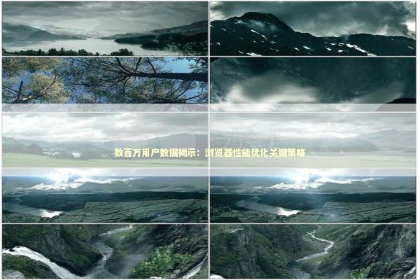 数百万用户数据揭示：浏览器性能优化关键策略