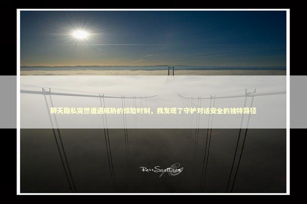 聊天隐私突然遭遇威胁的惊险时刻，我发现了守护对话安全的独特路径