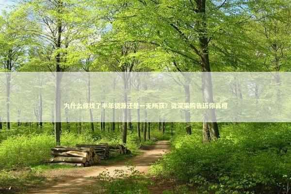 为什么你找了半年货源还是一无所获？资深采购告诉你真相 企业服务