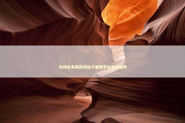 为何众多网民对这个老牌平台情有独钟 为何众多网民对这个老牌平台情有独钟 新闻