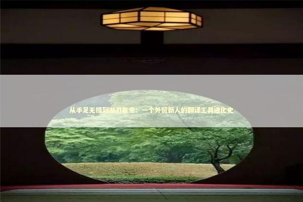 从手足无措到游刃有余:一个外贸新人的翻译工具进化史 从手足无措到游刃有余:一个外贸新人的翻译工具进化史 企业服务