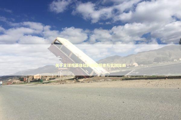 关于足球观赛体验的深度探索与实践指南