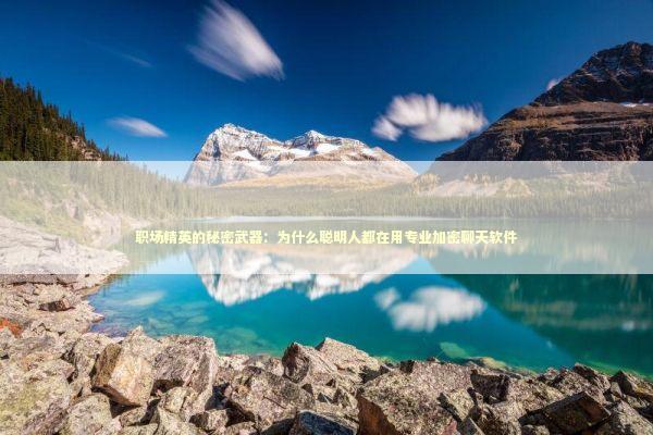 职场精英的秘密武器：为什么聪明人都在用专业加密聊天软件 IT技术